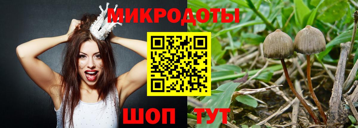 Элиста  Экстази  Вход с VPN  APVP СОЛЬ кристаллы  ГЕРОИН  ГАШ  Cocaine  Меф МЯУ МЯУ  