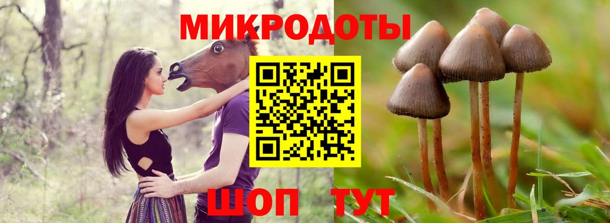 Псилоцибиновые грибы мухоморы Элиста