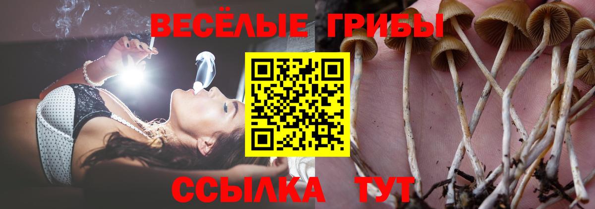 Элиста  Галлюциногенные грибы MAGIC MUSHROOMS  Галлюциногенные грибы ЛСД  Вход с VPN 